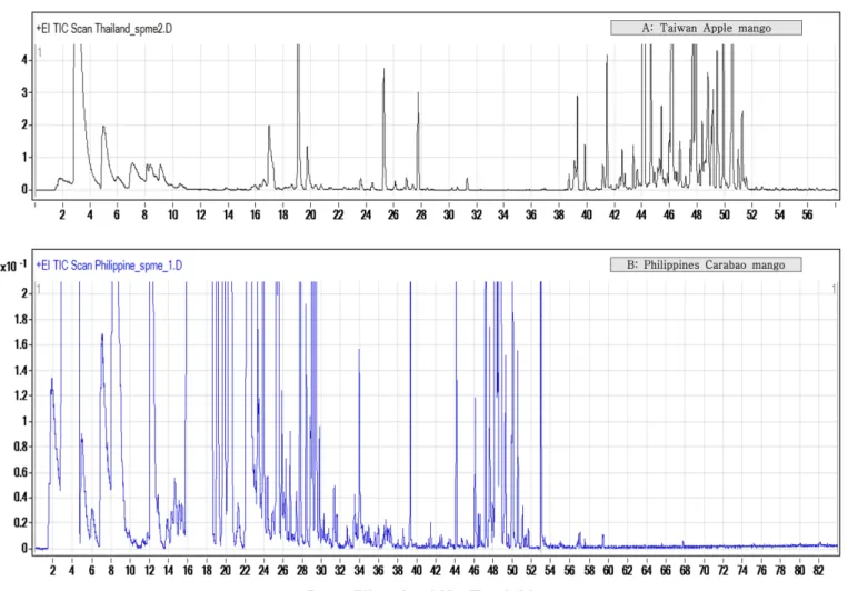 Fig. 1. GC/MS chromatograms of the volatile compounds in Taiwan Apple Mango (A) and Philippines Carabao Mango (B) extracted by solid-phase microextraction.