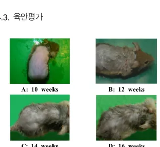 Fig. 3. Comparison of skin manifestation in NC/Nga mice  between control and experimental group