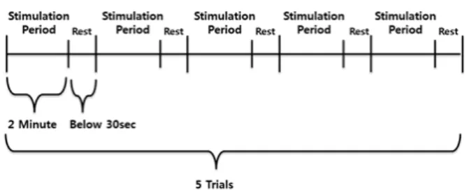 Figure 1. The process of experiment