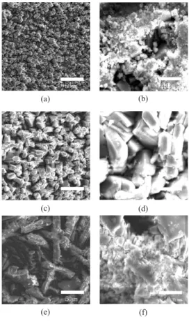 Fig. 3.  Surface structure of phosphate depending on the  total acidity (a)38.6 point of total acidity(×200)  (b)38.6 point of total acidity(×1,000) (c)40.5 point  of total acidity(×200) (d)40.5 point of total  acidity(×1,000) (e)42.6 point of total acidit