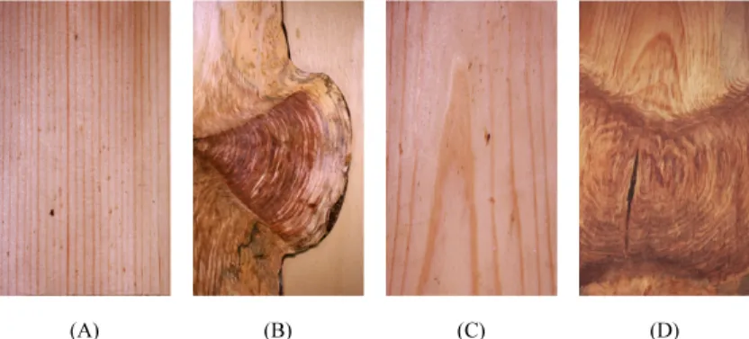 Fig. 2. Figures on the Radial section (A, B) and Tangential section (C, D) of Pinus densiflora wood.