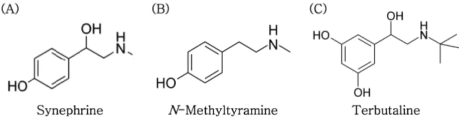 Fig. 1. Chemical structures of synephrine,  n-methyltyramine, and terbutaline (internal standard).
