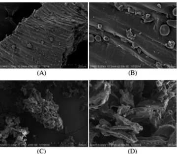 Fig. 2. Scanning electron micrographs of American raw wheat bran  ×100 (A), ×1,000 (B) and prepared by high-pressure homogenizer with 5 pass  ×100 (C), ×1,000 (D).