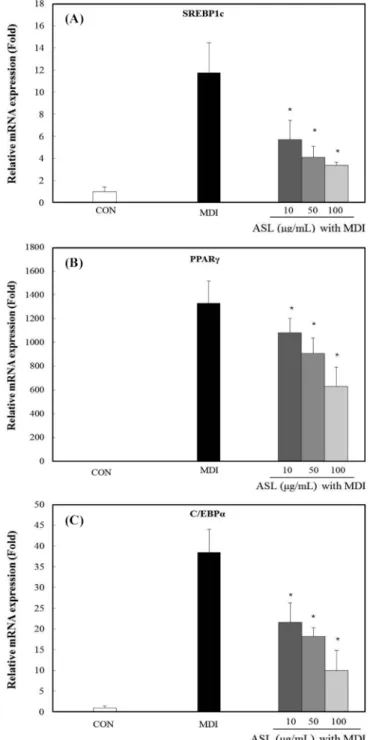 Fig. 6. Effect of  Allium senescens L. (ASL) on SREBP1c, PPARγ and C/EBP α mRNA expression during adipogenesis of 3T3-L1 preadipocytes