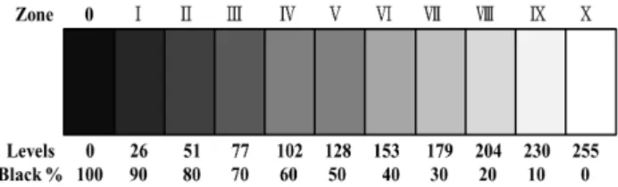 Figure 2. Haynes' digital zone system level values  (Haynes &amp; Crumpler, 2004)