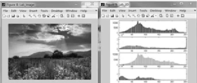 Figure 3. Histogram measurement sample in Lab color info ver.1.0