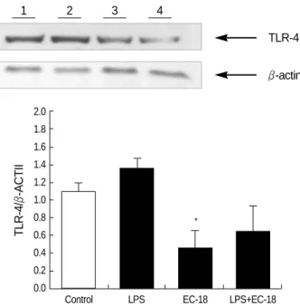 Table 2. TLR-4 real-time quantitative PCR analysis in KIGB-5 cells (biliary cancer cell line)