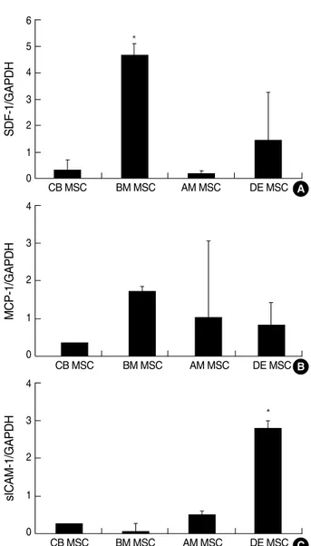 Fig. 6. SDF-1, MCP-1 and sICAM-1 expression profile by Western blot analysis in amnion-derived MSC and decidua-derived MSC.