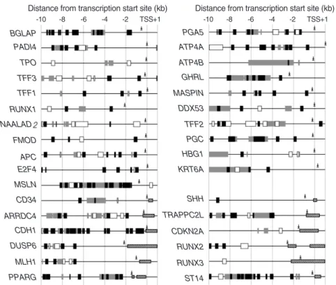 Fig. 2. Schematic diagram of methylation- methylation-variable sites and retroelements in the  5’-end regions of the 33 genes examined.