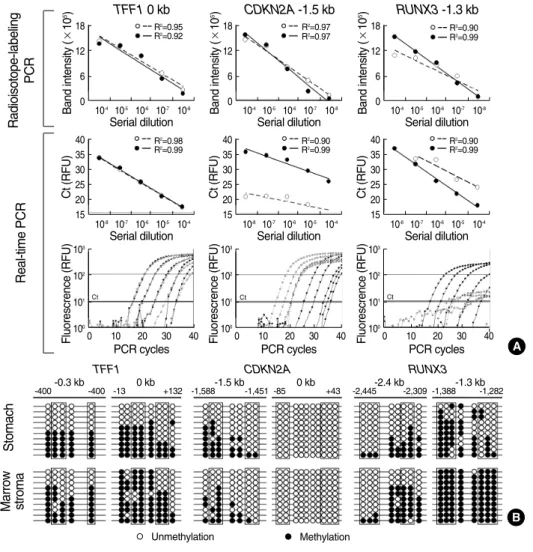 Fig. 4. Autoradiograph and ethidium bromide staining of electrophoretic bands of 33  methy-lation-variable sites examined in stomach  tis-sue