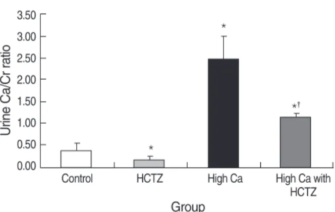 Fig. 6). Protein abundance of calbindin-D 28K did not differ significantly among groups (band density  [ % ] ; control vs.