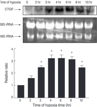 Fig. 1. Time course of CTGF mRNA expression in response to hypox- hypox-ia. MTC were isolated, cultured until 80% confluent, and exposed to 1% oxygen for 0-10 hr