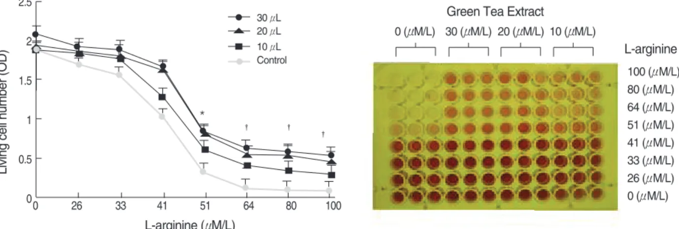 Fig. 4. The expression of iNOS mRNA and its protein in human mesangial cells by RT-PCR and Western blot