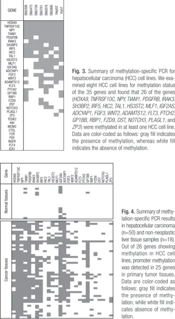 Fig. 1. Flow chart for selection of candidate methylation markers. We used 5 paired  hepatocellular carcinoma/normal tissues to screen for candidate methylation markers  using a methylation array