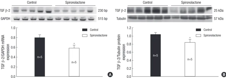 Fig. 6. Representative expressions of TGF  β-2 mRNA (A) and protein (B) are reduced in the developing rat heart of the control and S groups, *P<0.05
