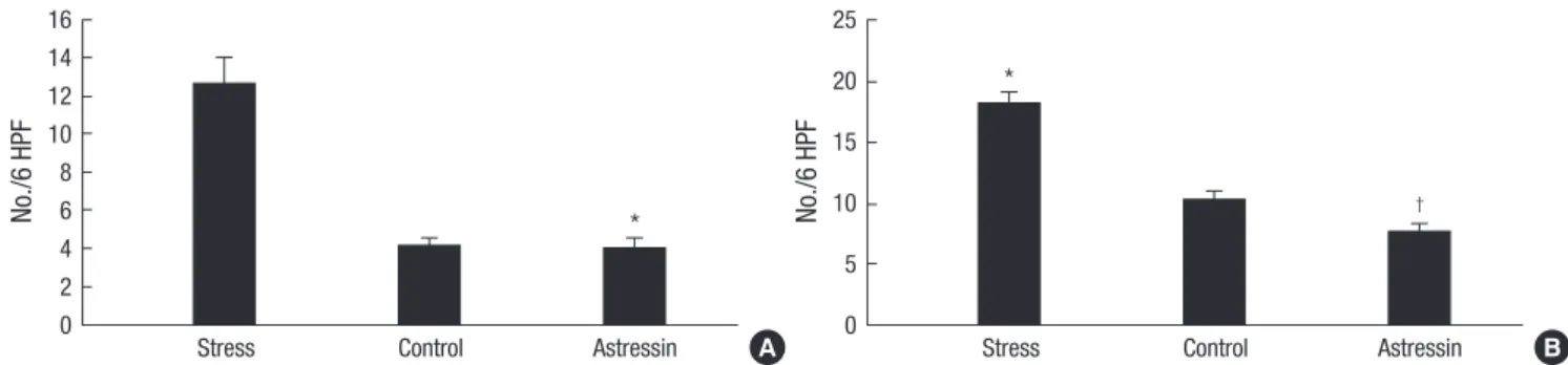Fig. 1. Staining of mast cells, EC cells, and PAR2-positive cells (magnification, ×400)