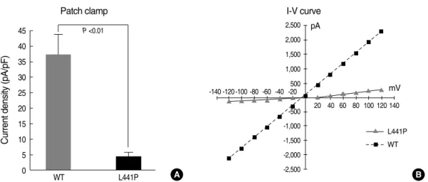 Fig. 5. cAMP-activated Cl - channel activity of L441P mutant CFTR. HEK 293 cells were transfected with plasmids for wild type CFTR or CFTR carrying the L441P mutation and the cAMP-activated Cl - channel activity was measured in the whole cell configuration
