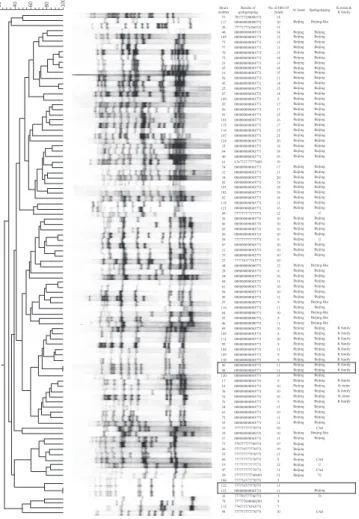 Fig. 1. Results of RFLP and spoligotyping of 96 M. tuberculosis isolates. Two solid  boxes indicate that the two pairs of four isolates showed identical IS6110-RFLP  patterns in each pair.