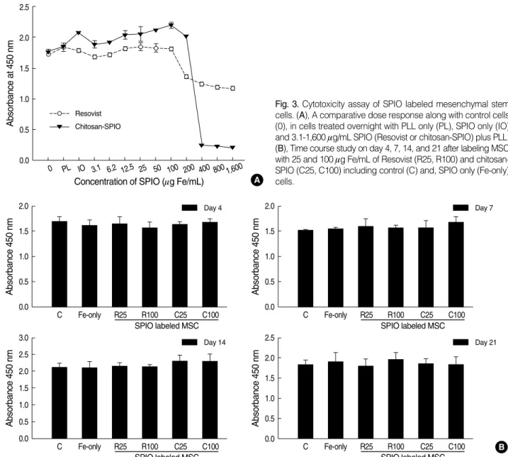 Fig. 3. Cytotoxicity assay of SPIO labeled mesenchymal stem cells. (A), A comparative dose response along with control cells (0), in cells treated overnight with PLL only (PL), SPIO only (IO) and 3.1-1,600 mg/mL SPIO (Resovist or chitosan-SPIO) plus PLL.