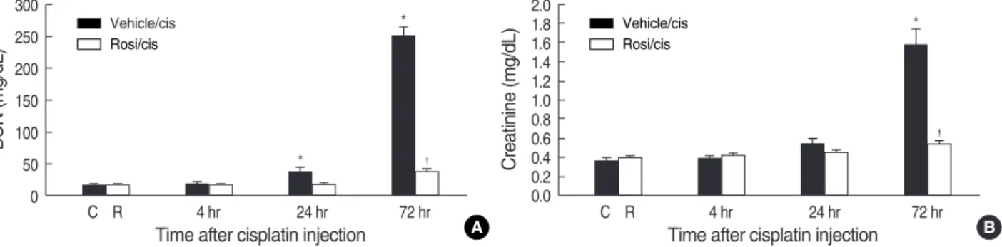 Fig. 1. Effect of rosiglitazone on renal function in cisplatin-induced ARF in mice. Vehicle (0.1% DMSO) or rosiglitazone (rosi) were injected intraperitoneally for 3 days before cisplatin (cis) administration