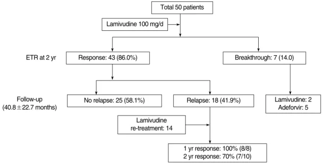 Fig. 4. A flow chart of a 24-months course of lamivudine therapy in HBeAg negative CHB patients