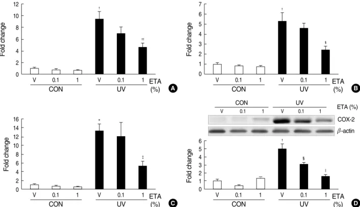 Fig. 3. Topical application of ETA prevents UV-induced interleukin-1beta (IL-1 b ) and cyclooxygenase-2 (COX-2) expressions in hairless mouse skin in vivo