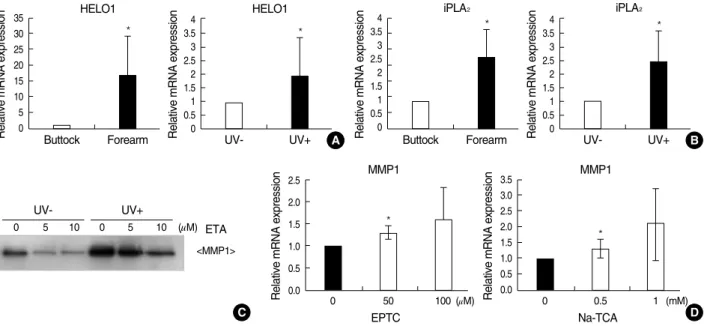 Fig. 2. The expressions of genes involved in ETA production and the effect of ETA on MMP-1 expression