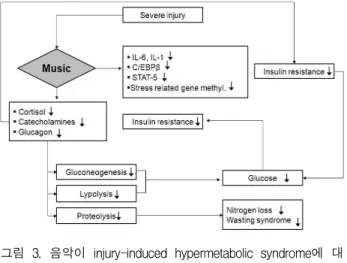 그림 3. 음악이 injury-induced hypermetabolic syndrome에 대 한 호르몬 또는 대사 작용에 영향을 미침을 나타내 는 모식도(Nelson et al., 2008) 매우 제한적으로 이루어 졌다
