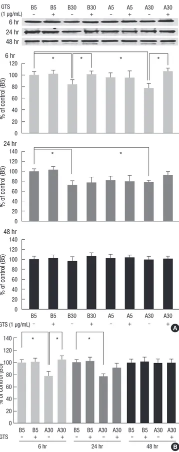 Fig. 3. Effects of diabetic conditions and ginseng total saponin (GTS) on the ZO-1  protein assayed by Western blotting