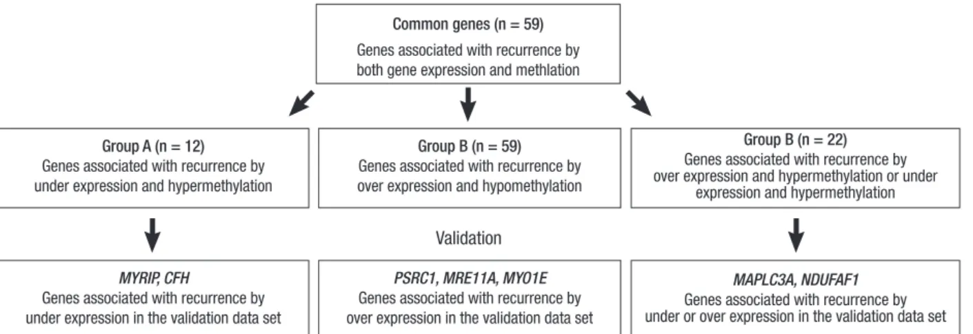Fig. 2. Selection of recurrence associated genes in the training and validation data set