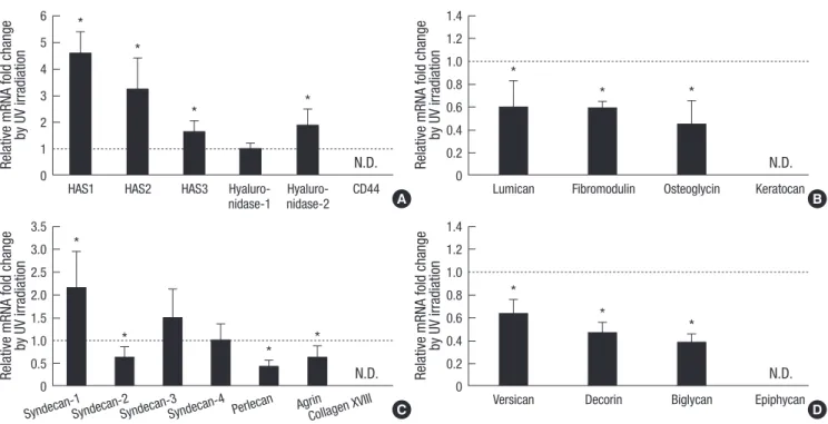 Fig. 1. Fold changes of UV-induced mRNA expression of HA-related genes and various proteoglycans (PGs) in cultured human dermal fibroblasts
