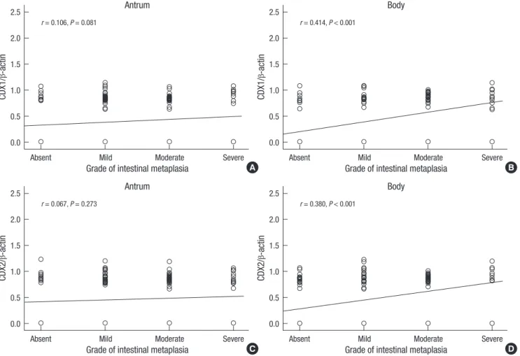 Fig. 1. Correlation between CDX1 and CDX2 expression and grade of intestinal metaplasia