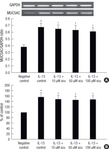 Fig. 4. Effects of scutellarin (scu) on MUC5AC mRNA (A) and protein (B) expression  after exposed to HNE
