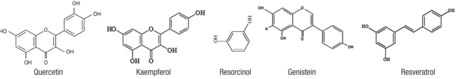 Fig. 1. Structure of polyphenol phytochemicals and resorcinol.