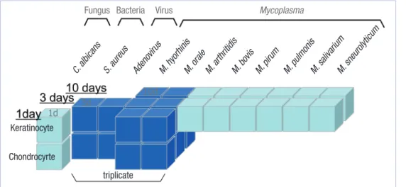 Fig. 1. The microarray experimental  design in three dimensional spaces  according to source of infection (x  axis), cell type (y axis) and day of  cul-ture (z axis).