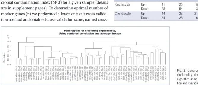 Fig. 2. Dendrogram for samples  clustered by hierarchical clustering  algorithm using centered  correla-tion and average linkage.