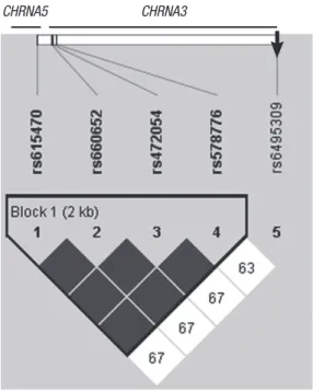 Fig. 1. Reconstructed linkage disequilibrium (LD) plot using potentially functional sin- sin-gle nucleotide polymorphisms with minor allele frequency ≥ 5% from HapMap JPT  data in the CHRNA5/CHRNA3 locus