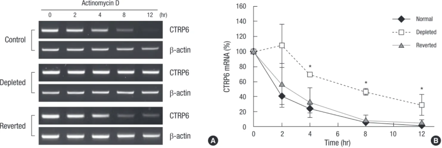 Fig. 4. Stability of CTRP6 mRNA in control, mtDNA-depleted, and reverted C2C12 cells. (A) Control, mtDNA-depleted, and reverted C2C12 cells were treated with 12.5 µg/mL  actinomycin D for the indicated times, followed by extraction and analysis of CTRP6 mR