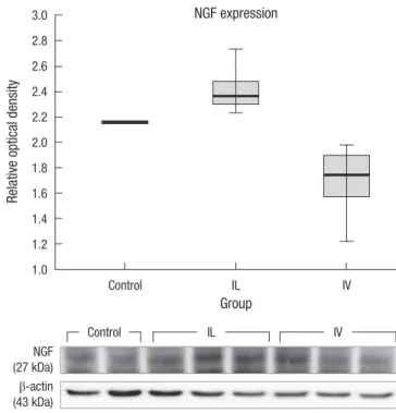 Fig. 4. Expression of BDNF. Post-injury 1 week BDNF levels in the spinal cord tissues  were measured
