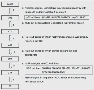 Fig. 1. Flow chart for selection of candidate genes. Screening of candidate tumor  suppressor genes (TSGs) was performed in 5 hepatocellular carcinoma (HCC) cell  lines treated with 5 µM 5-aza-2´-deoxycytidine (AZA) or 300 nM trichostatin A (TSA)  by using