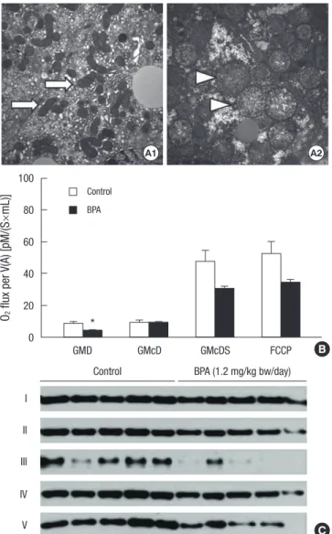 Fig. 2. Serum AST and ALT levels after a single injection of 1.2 mg/kg bw/day of BPA. 