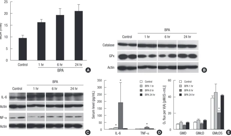 Fig. 3. Changes in the levels of oxidative stress and inflammatory cytokines at 1, 6, and 24 hr after a single injection of BPA (1.2 mg/kg bw/day)
