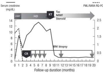 Fig. 4. Clinical course of the patient. CR was achieved at 3 months after the initiation  of treatment