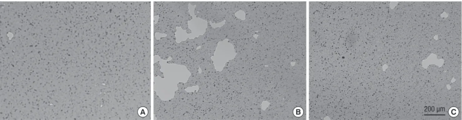 Fig. 5. Photomicrographs of pits formed by osteoclasts from rats, magnification ×25. (A) Control