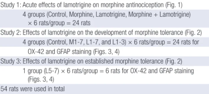 Table 1. Number of rats used in the experiments