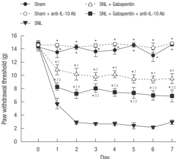 Fig. 4. Time course of paw withdrawal thresholds over the 7 day period of daily injec- injec-tions of anti-IL-10 antibody (10 µg) with intrathecally administered gabapentin (30 µg)