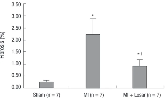 Fig. 5. Mean duration of atrial fibrillation (seconds) following burst pacing. *P = 0.003,  sham vs MI;  † P = 0.015, MI vs MI + losartan