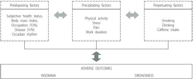 Figure 1. Theoretical framework
