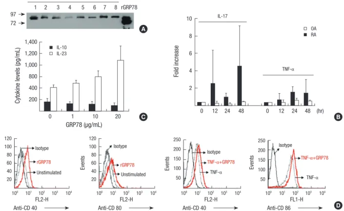 Fig. 3. Recombinant GRP78 induces pro-inflammatory response in rheumatoid mononuclear cells