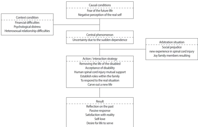 Figure 1. Paradigm model for the adaptation of the spinal cord injuries.
